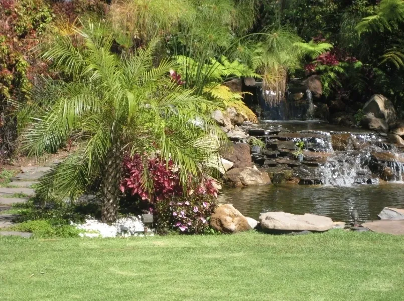 Beautiful mini pond with flowing water Beautiful mini pond with flowing water