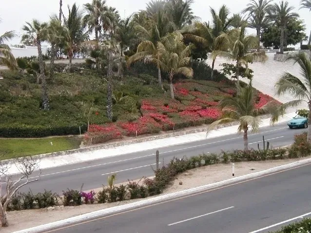 Awesome ecoscape landscape beside the road Awesome ecoscape landscape beside the road