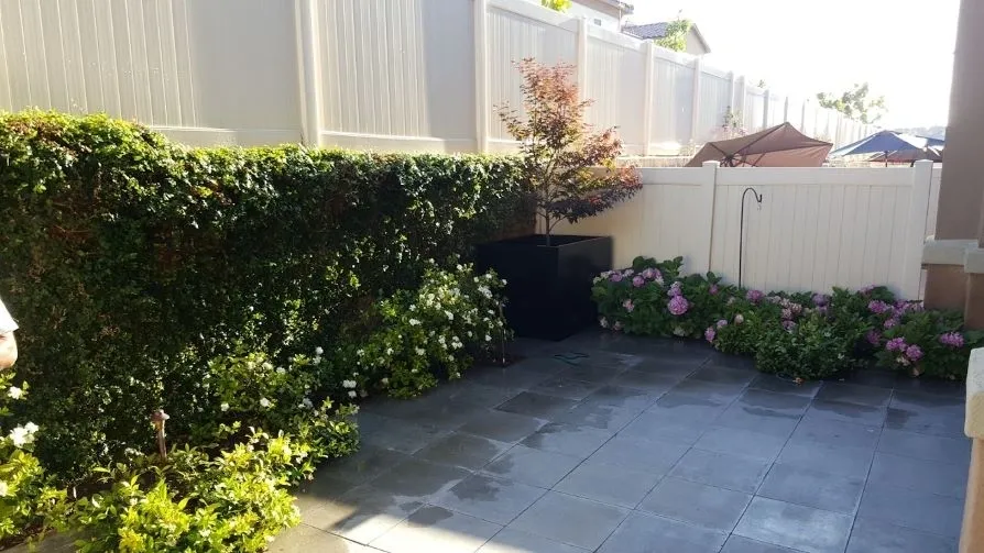 A pleasant yard that DIY landscaping can achieve.